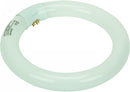 Insect-O-Cuter TGX22 Circline UV Lamp, 22W, Circular Fluorescent Replacement Bulb for Insect Attractors