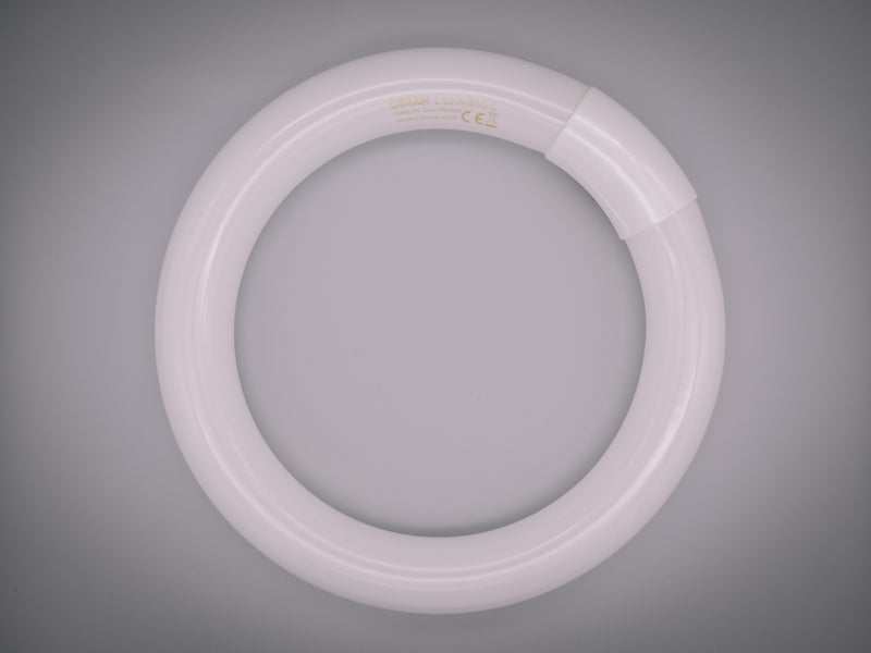Osram L 22W G10q 4 Pin 865 Daylight White Circular Fluorescent Light