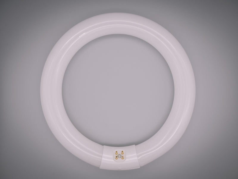 Osram L 22W G10q 4 Pin 865 Daylight White Circular Fluorescent Light